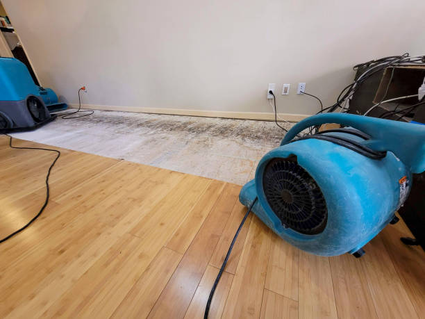 Reliable Basement Flood Cleanup contractor in Whitt, TX by Hirex Water Damage