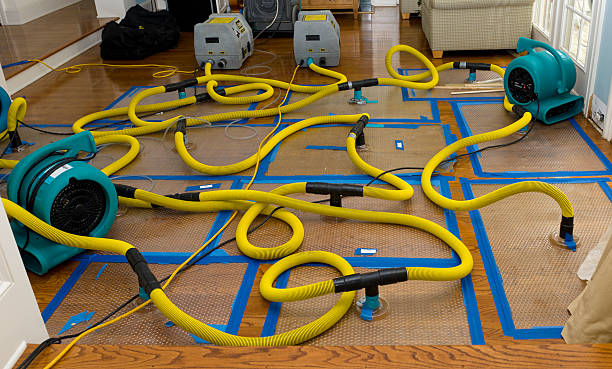 Professional Basement Flood Cleanup technician working in Whitt, TX